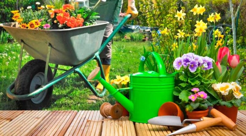 La jardinería entra en servicio doméstico